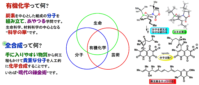 有機化学って何？ 全合成って何？