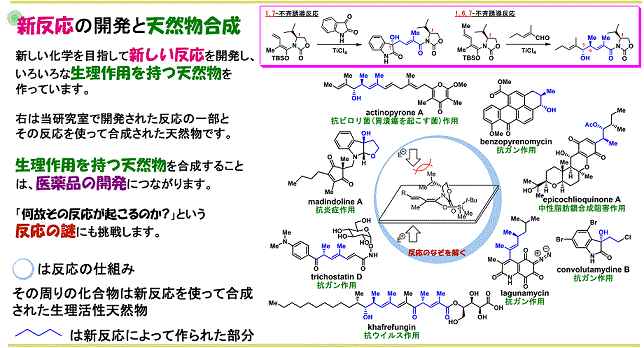 新反応の開発と天然物合成